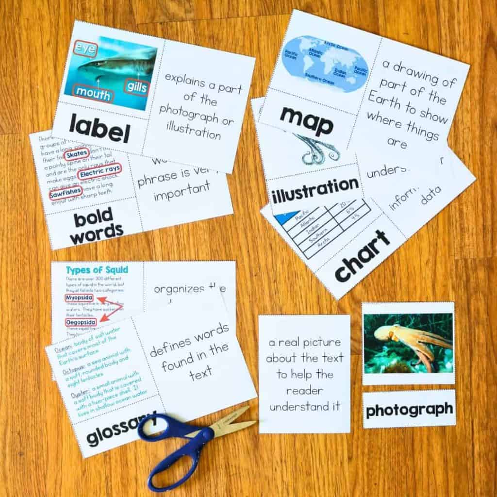 What are Text Features? Effective Strategies for Teaching Text Features 5 text features vocabulary cards.