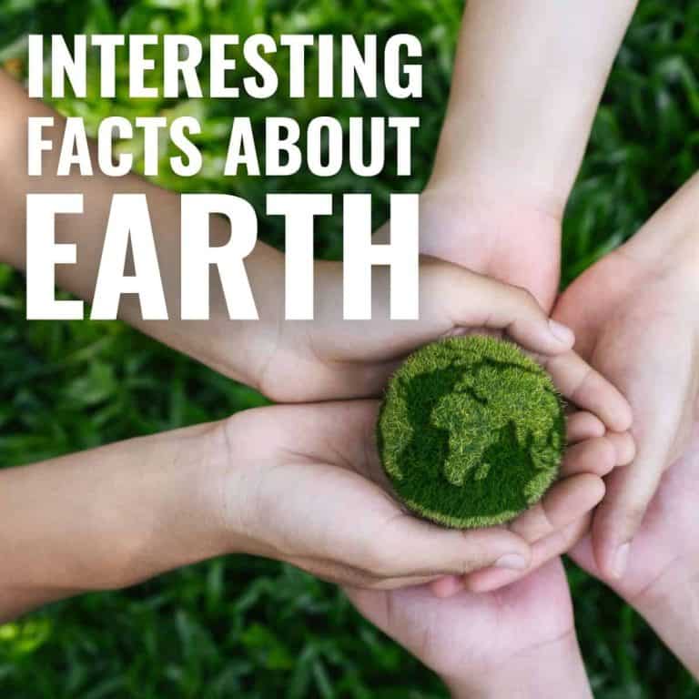 Four hands gently hold a small, moss-covered globe, symbolizing Earth, above green grass. The text reads Interesting Facts About Earth.