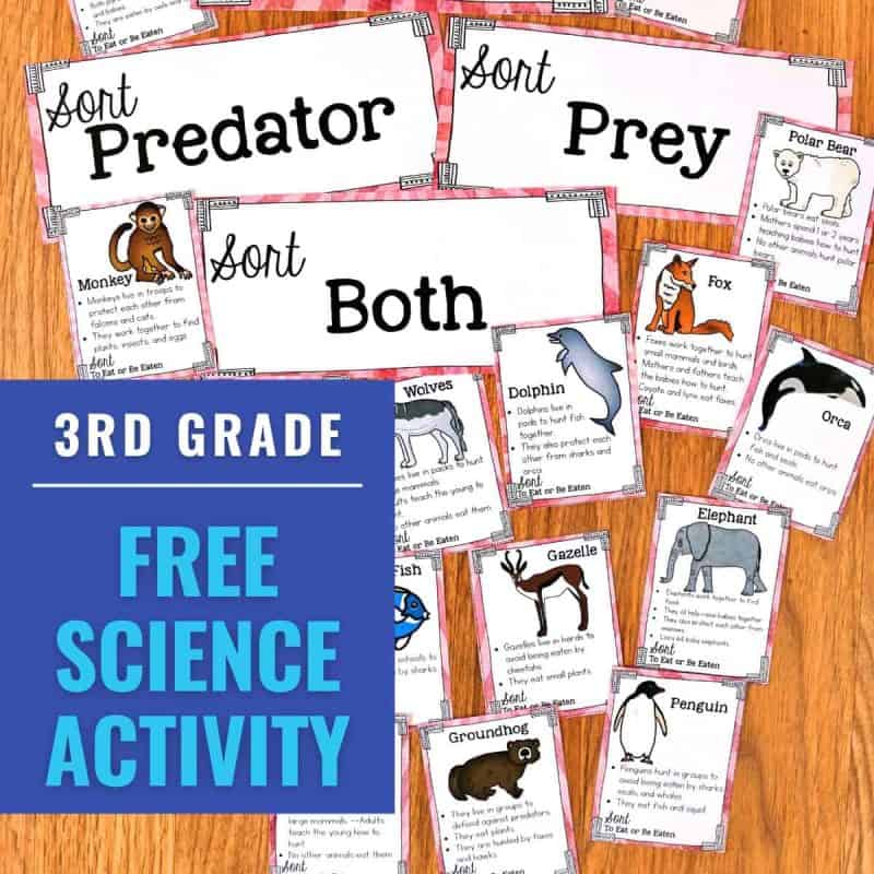 Free Science Sorting Activity for Grades 2-5