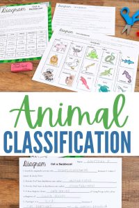 Animal Classification Activity for Kids