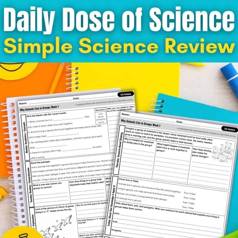 daily dose of science review for 3rd grade.