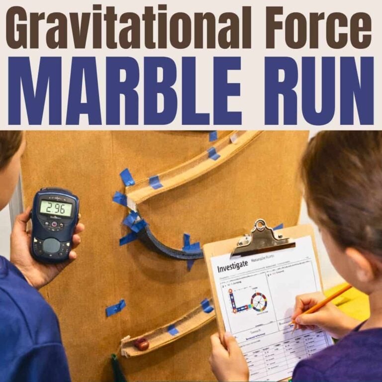 gravitational force marble run.