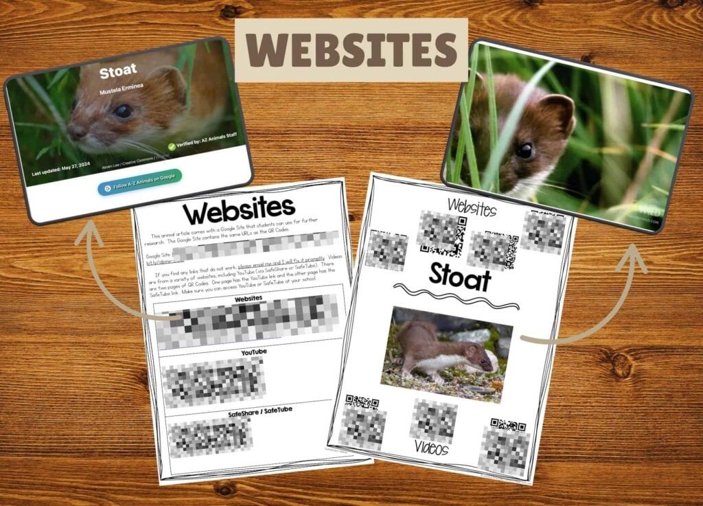 stoat videos.
