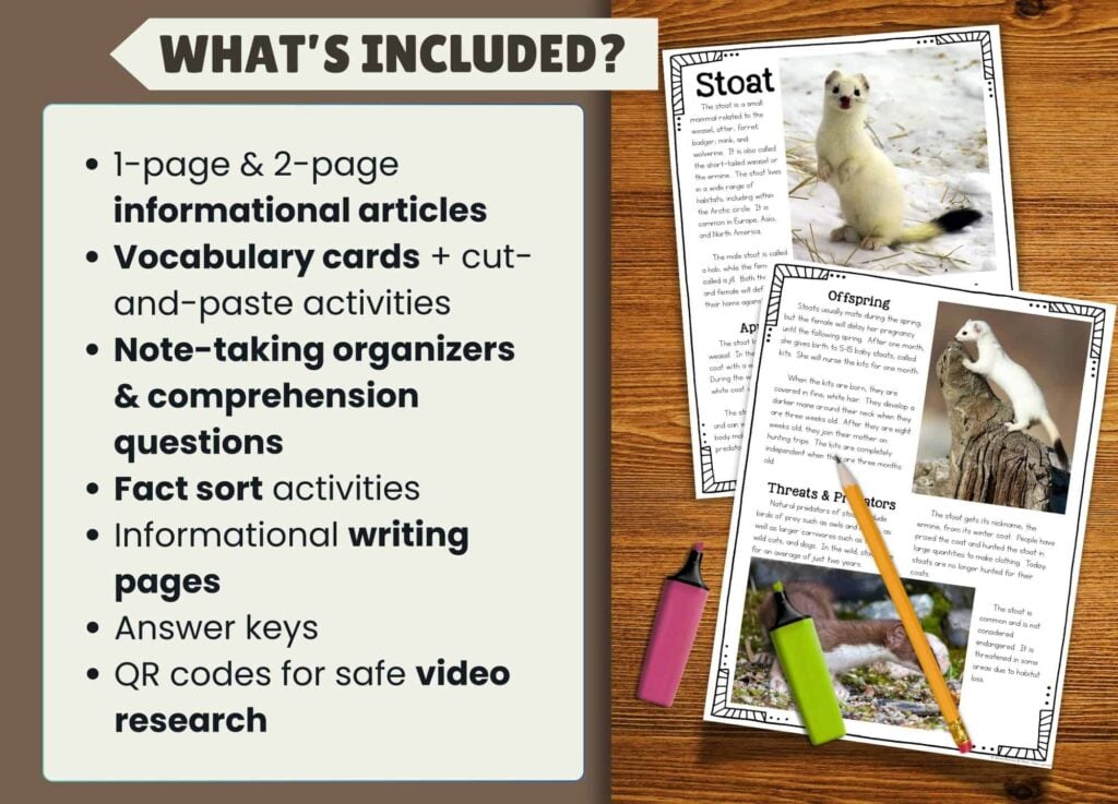 stoat what's included.
