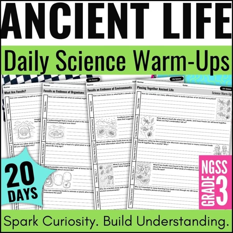 opinion writing sentence starters.