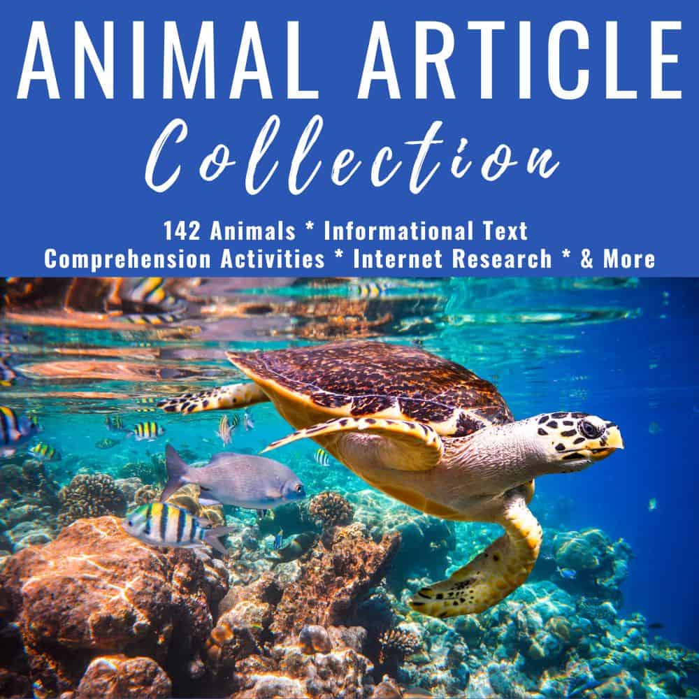 What I Have Learned 42 animal article collection square.