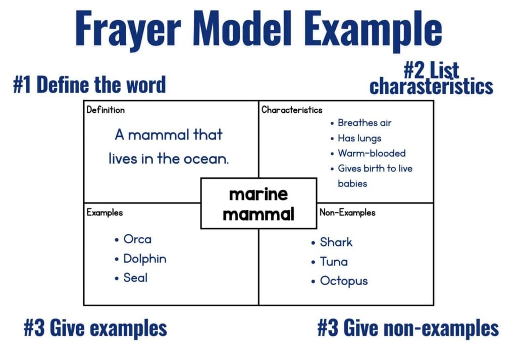 A Frayer Model diagram for marine mammal with definition, characteristics, examples (orca, dolphin, seal), and non-examples (shark, tuna, octopus) organized in labeled quadrants.