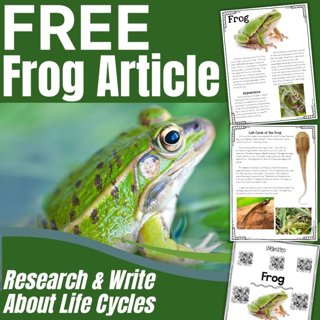Free Frog Article: Green frog close-up with sample pages about frog life cycles, appearance, and tadpoles. Text: Research & Write About Life Cycles..