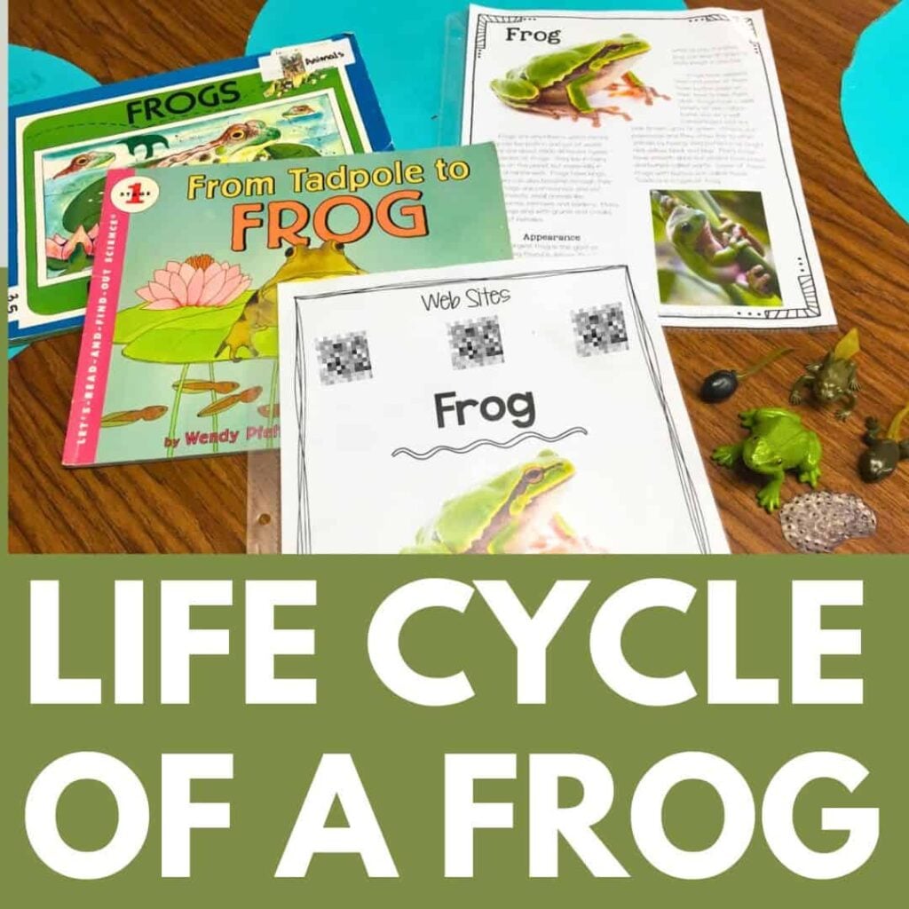 Books, worksheets, and toy frogs arranged on a table show educational materials about the life cycle of a frog. The words LIFE CYCLE OF A FROG appear in large white text below the items.