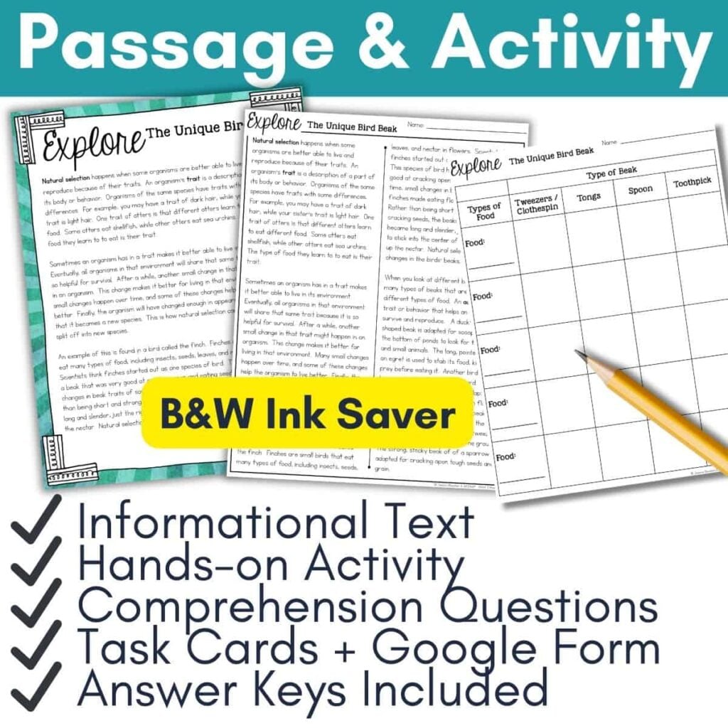 Bird Beak Adaptations: Hands-On Bird Beak Experiment for Students 4 Image shows the Bird Beak Passage with two worksheets on bird beak adaptations. Features include informational text, hands-on activity, comprehension questions, task cards, Google Form, answer keys, and a "B&W Ink Saver" label.