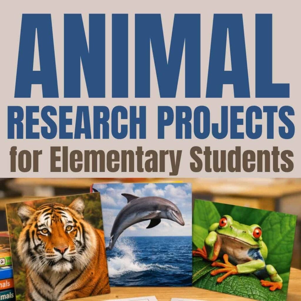 SQUARE Animal Reports (1) for elementary students&mdash;includes inspiring images of a tiger, a leaping dolphin, and a frog on a leaf to spark ideas for your research projects!.