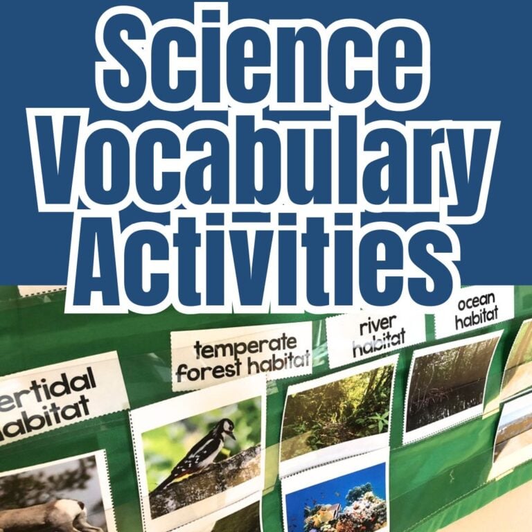 A classroom display labeled SQUARE science-vocabulary-activities-elementary features habitat cards and images, highlighting science terms like estuarine, temperate forest, river, and ocean habitats.