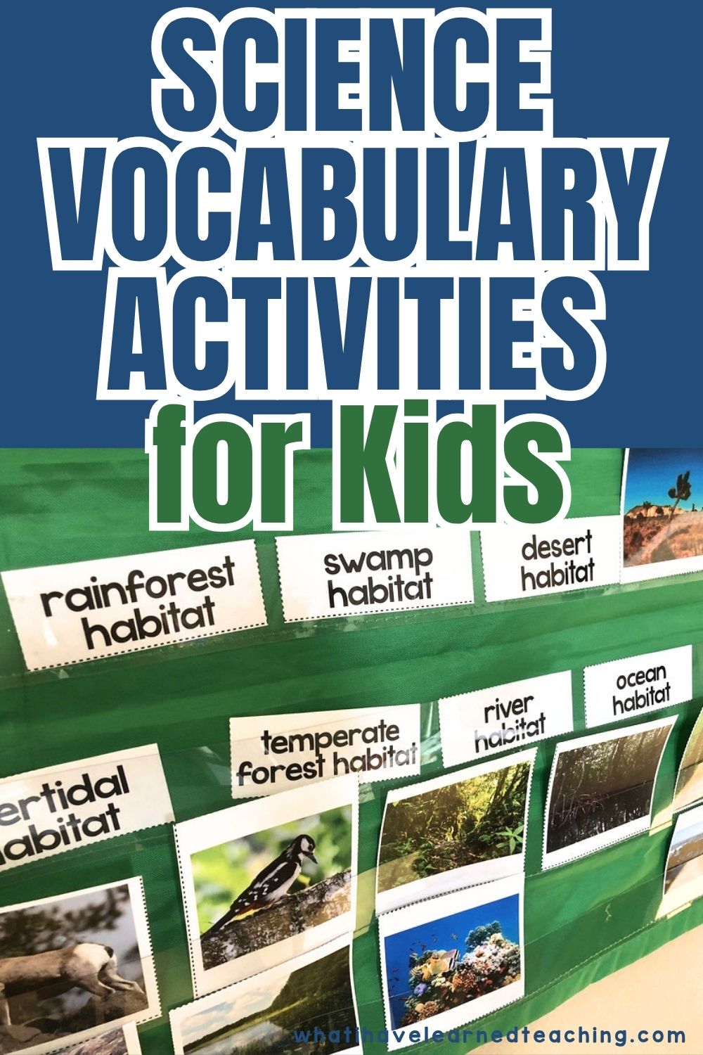 Science Vocabulary Activities for Elementary Students