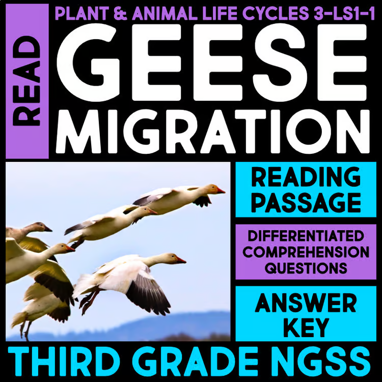 The product, image, shows four geese flying in formation over a landscape for a third grade NGSS reading passage about geese migration, including differentiated comprehension questions and an answer key.