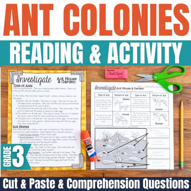 A top-down view of an "image" animal group survival worksheet set includes a reading page, cut-and-paste activity, scissors, pencil, glue stick, and notepad&mdash;ideal for grade 3.