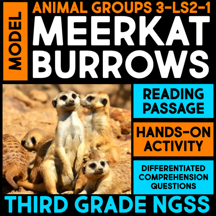 A group of meerkats stands alert on sandy ground in this image for third grade NGSS, featuring a reading passage, hands-on activity, and comprehension questions about animal group survival and meerkat burrows.