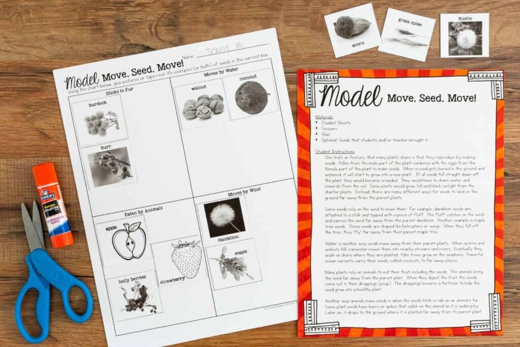 The 3rd grade seed dispersal sort includes a Model Move, Seed, Move! worksheet, seed images, a red-bordered instruction sheet, scissors, glue stick, and cut-out pictures showing different ways seeds are dispersed on a wooden surface.