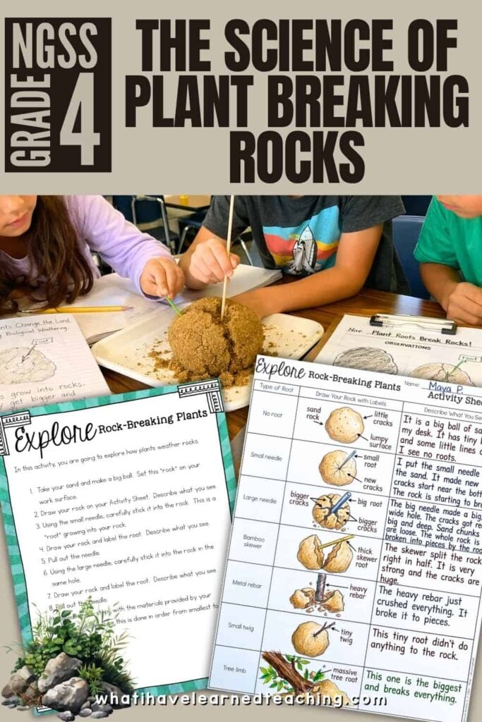 Three 4th graders do a hands-on weathering activity with a mud ball and stick. In front are worksheets and illustrated instructions from Plant Breaking Rocks, with the text &ldquo;The Science of Plant Breaking Rocks&rdquo; above.