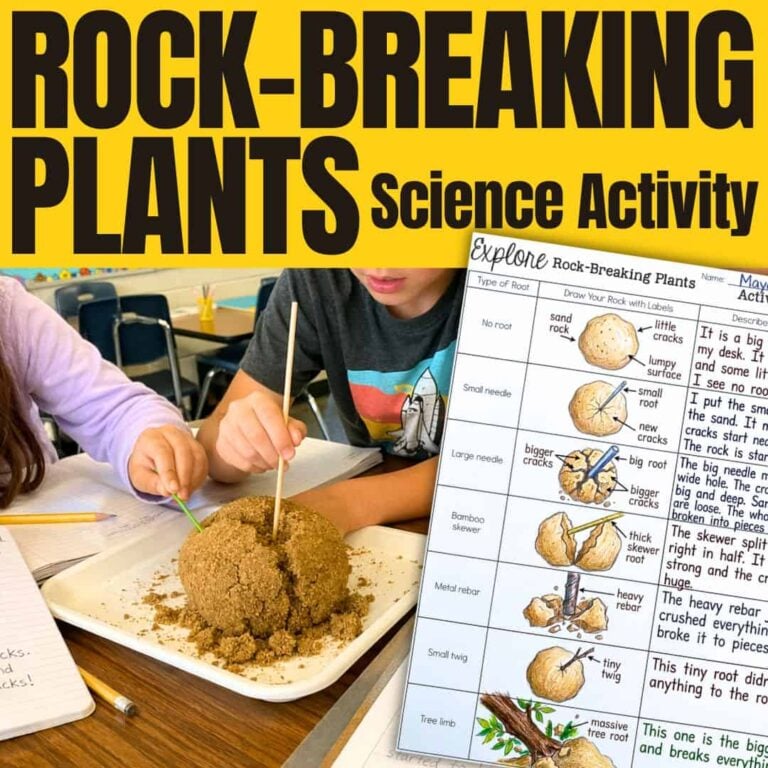 Two children poke a sand mound in this 4th grade SQUARE Plant Breaking Rocks Explore 4560346 weathering activity. A worksheet about rock-breaking plants with bold “Rock-Breaking Plants Science Activity” is shown.