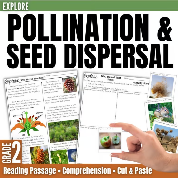 Grade 2 image cover featuring pollination and seed dispersal worksheets. A hand holds a photo strip with seeds and plants. Text highlights reading, comprehension, and cut-and-paste activities.