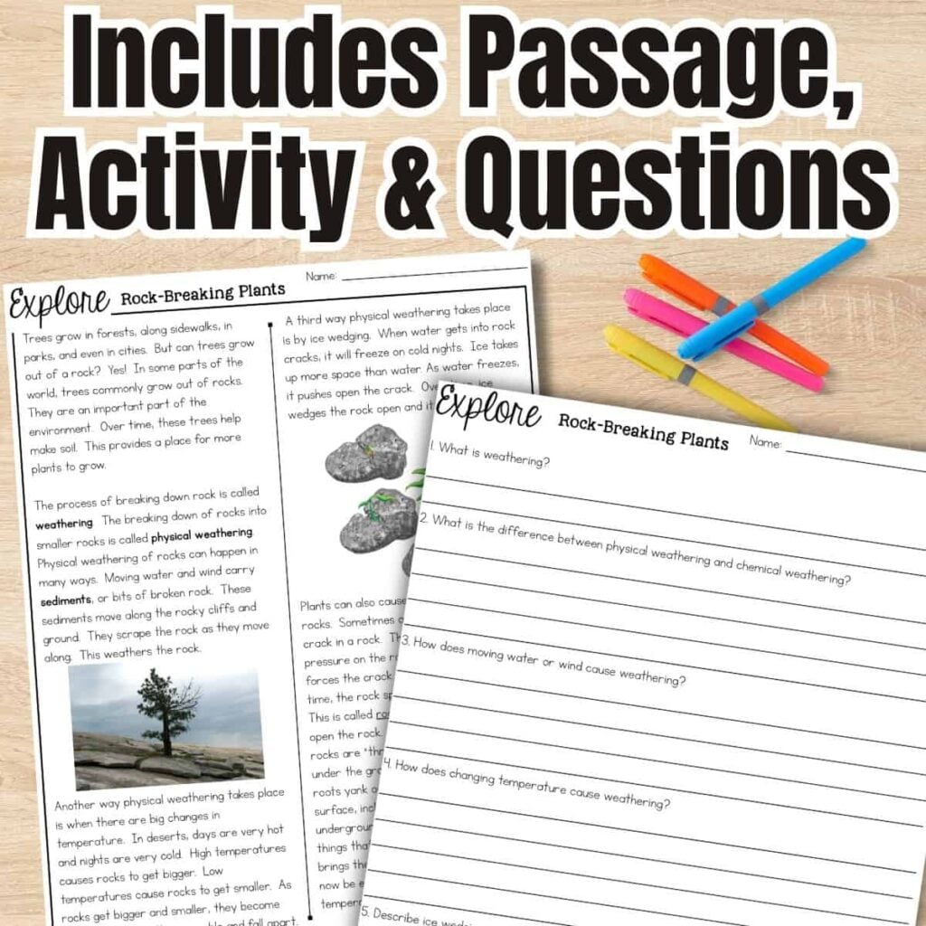 The plants breaking rocks passage questions worksheet features a reading passage, weathering activity, and questions. Displayed on a wooden surface with colorful highlighters, it's perfect for kids and includes everything needed for engaging science learning.
