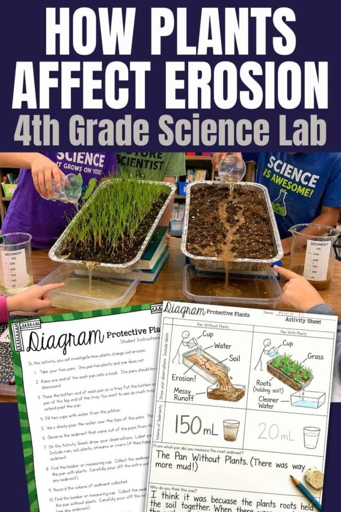 How Plants Prevent Erosion: 4th Grade Science Experiment 1 The 4th grade soil erosion lab display features two trays—one with grass, one with bare soil—used for a science experiment, along with student worksheets containing diagrams and notes on soil and water runoff.