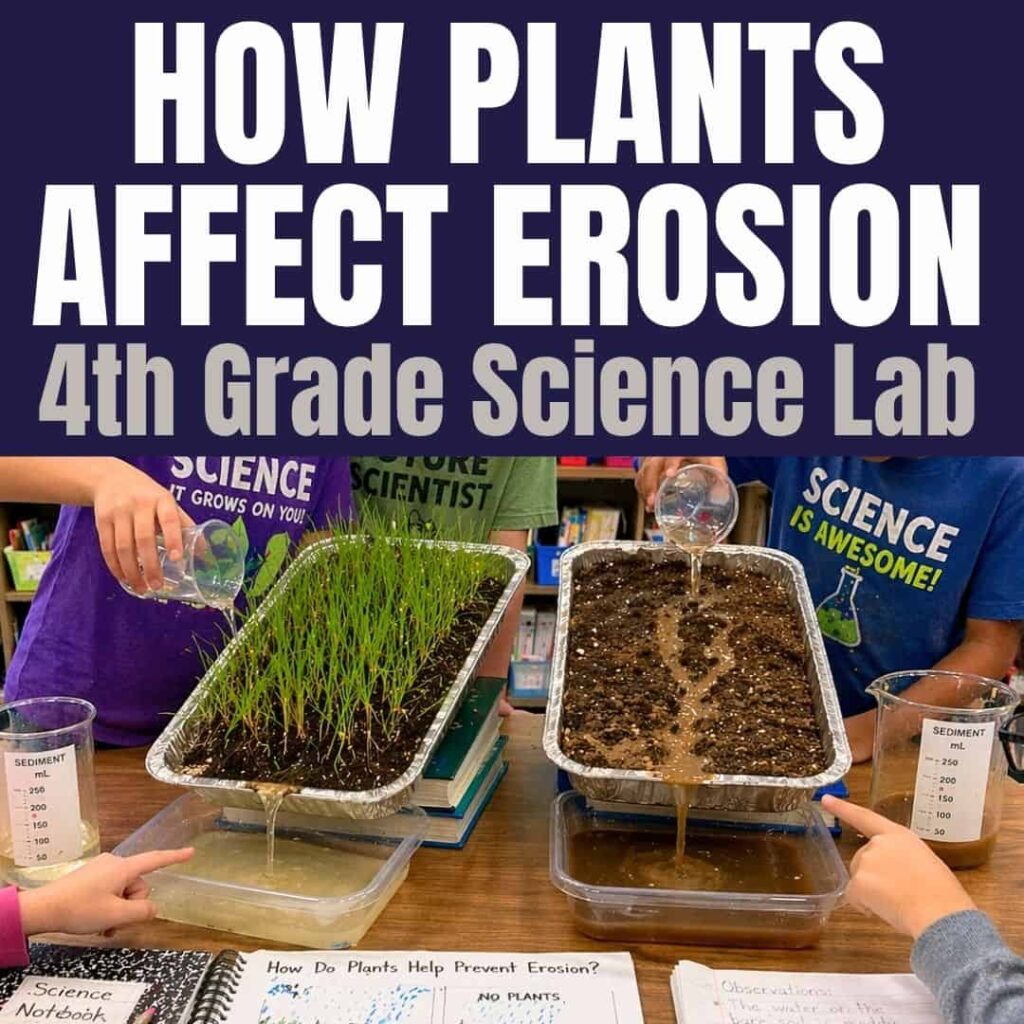 How Plants Prevent Erosion: 4th Grade Science Experiment 23 In the 4th grade soil erosion with plants lab, two kids pour water on soil trays—one with grass and one without—to see how plants reduce runoff. Water collects in clear containers, and science notebooks are on the table.
