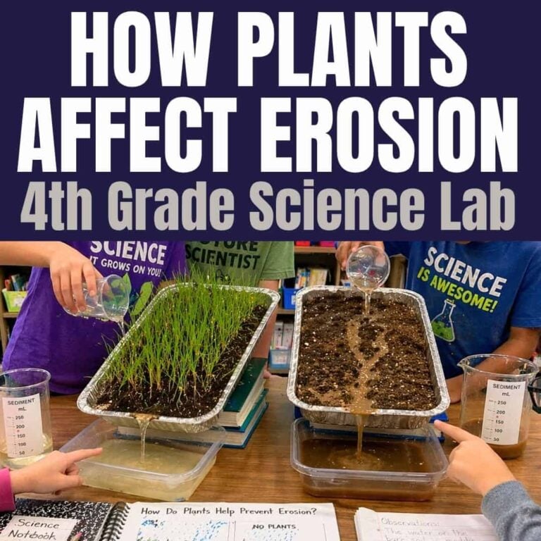 In the 4th grade soil erosion with plants lab, two kids pour water on soil trays—one with grass and one without—to see how plants reduce runoff. Water collects in clear containers, and science notebooks are on the table.