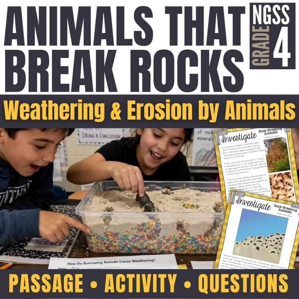 Two smiling children investigate a bin of sand and rocks during an animal weathering activity. Next to them is a worksheet showing the "Animals that Break Rocks Cover.