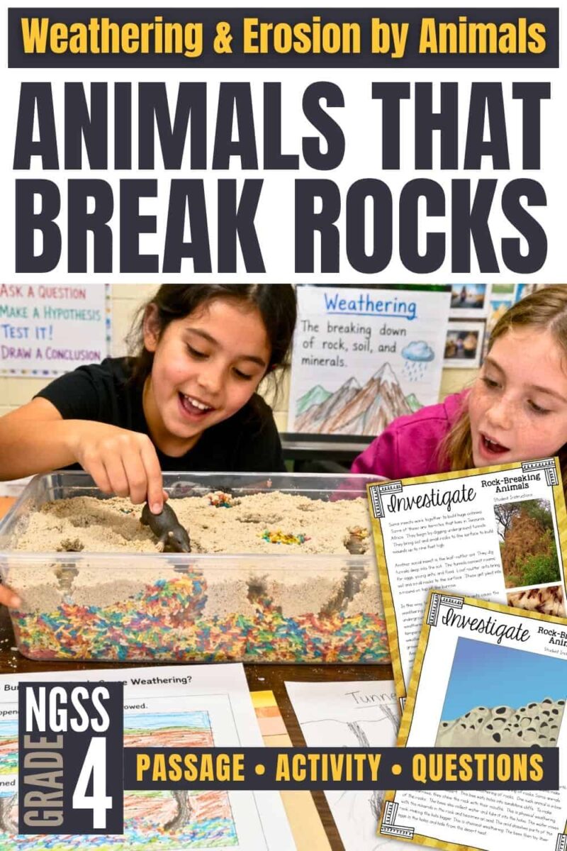 Animals That Weather Rocks Activity for 4th Grade Science
