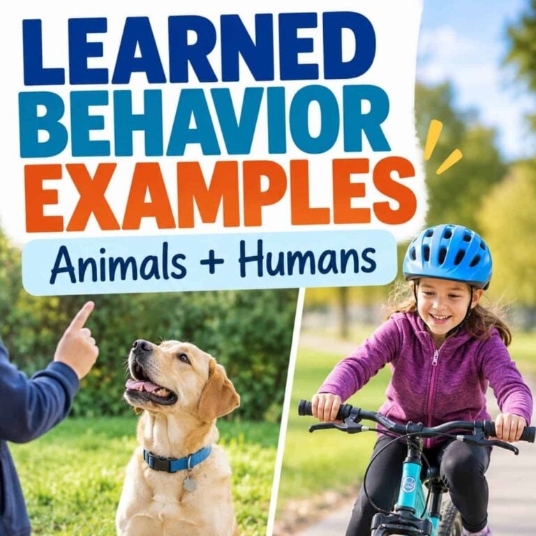 A child points at a dog wearing a collar, while another child in a helmet smiles riding a bicycle. Text reads, Learned Behaviors—showcasing clear examples of learned behaviors in everyday life among animals and humans.