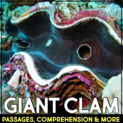 Giant Clam: Informational Article and Comprehension Activities