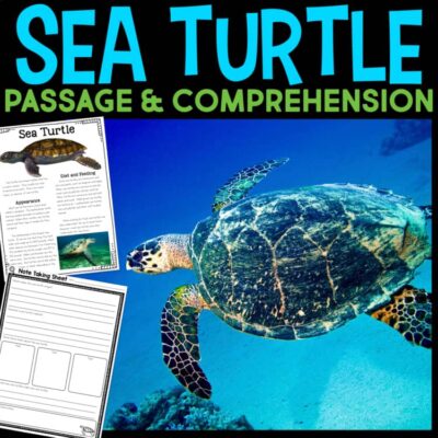 Sea Turtle Informational Article and Comprehension Activities