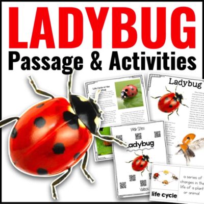 Ladybug Informational Article and Comprehension Activities