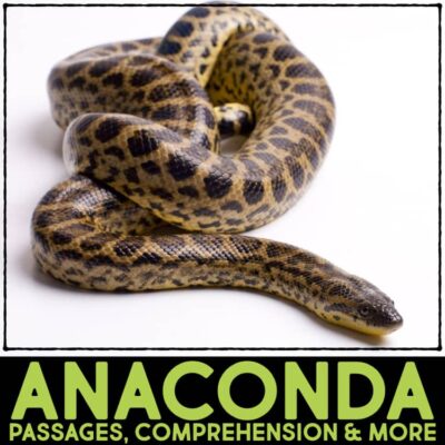 Anaconda Informational Article and Comprehension Activities