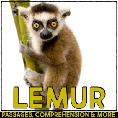 Lemur Informational Article and Comprehension Activities