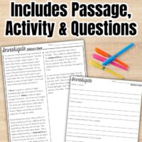 Force and Motion Third Grade Science Stations