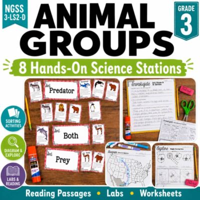 Ecosystems: Animal Group Behavior Third Grade Science Stations