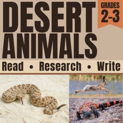 Desert Animals BUNDLE