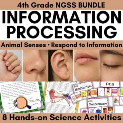 Information Processing BUNDLE: Making Sense of the World Science Stations