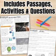 Reversible and Irreversible Changes - Second Grade Science Stations