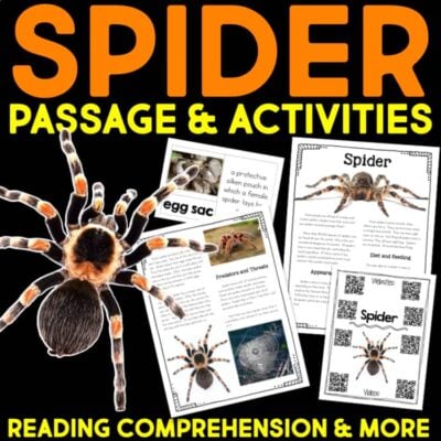 Spider Informational Article and Comprehension Activities