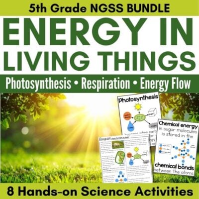 Energy for Life Science Station BUNDLE