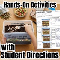 Food Webs & Ecosystems Science Station UNIT BUNDLE