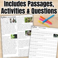 Food Webs & Ecosystems Science Station UNIT BUNDLE