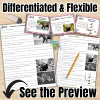 Food Webs & Ecosystems Science Station UNIT BUNDLE