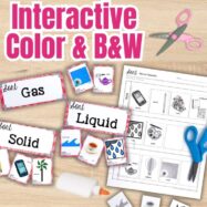 Types of Matter Sort Solid Liquid Gas Cut & Paste States of Matter Activity NGSS preview 1